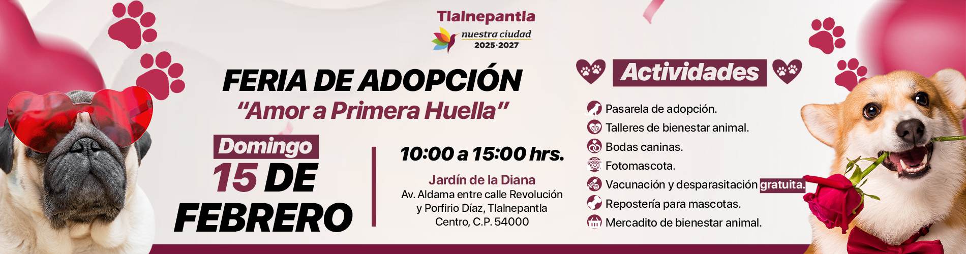 Adopción
