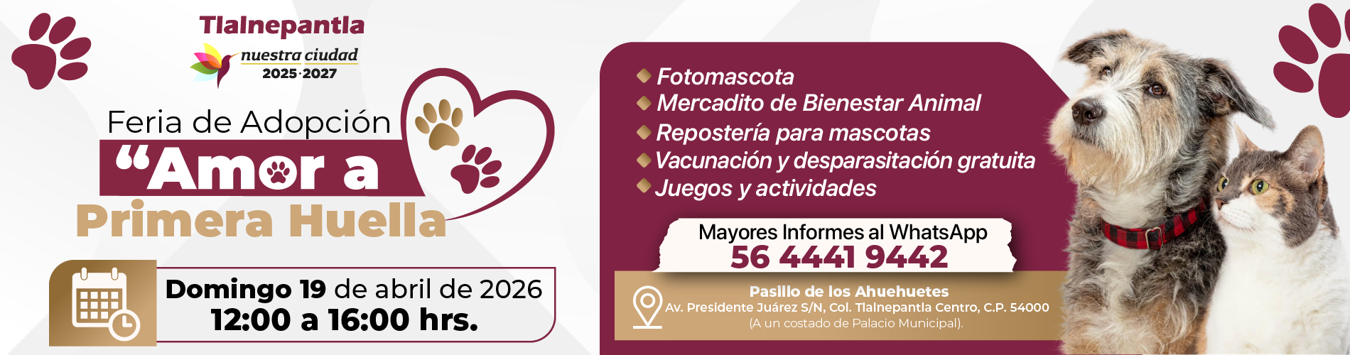 Amora Primera Huella