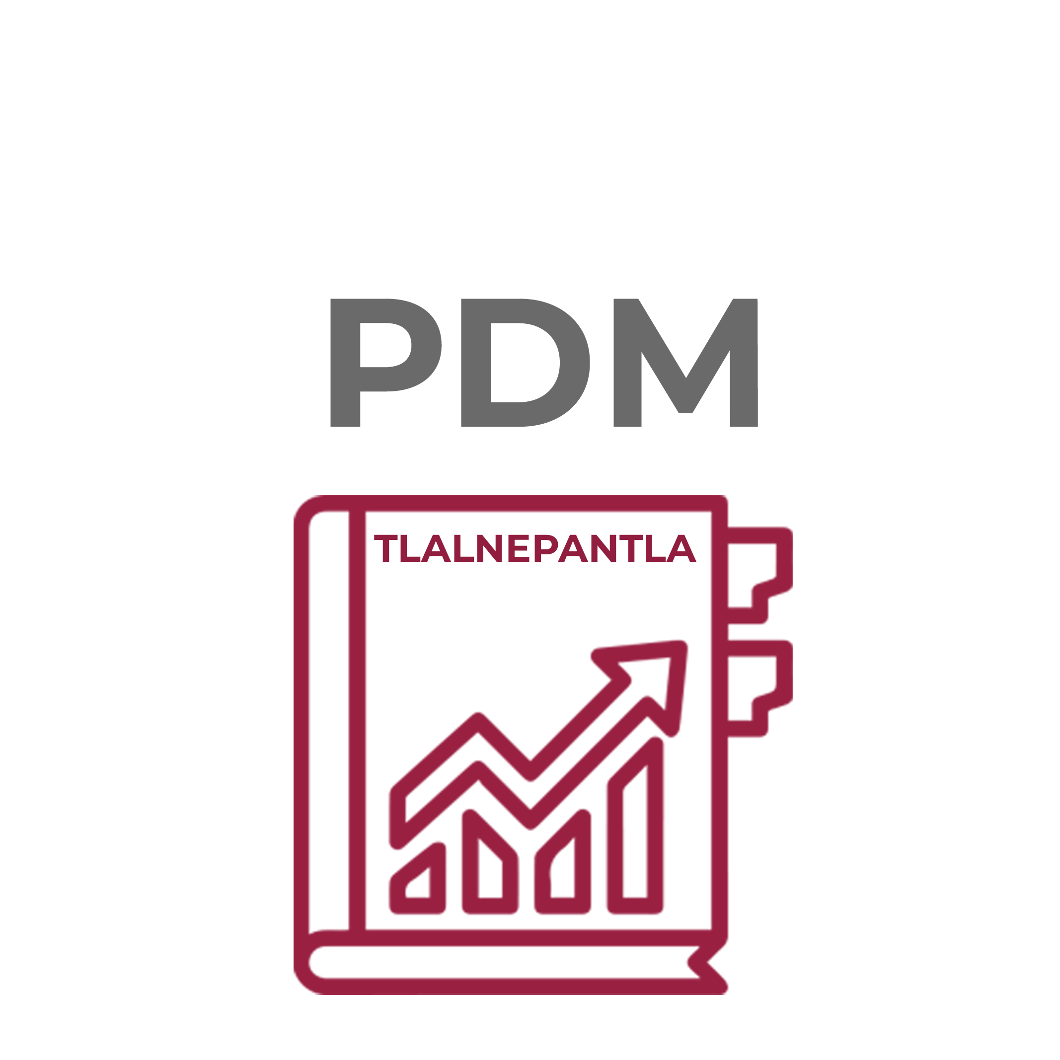 Plan de Desarrollo Municipal 