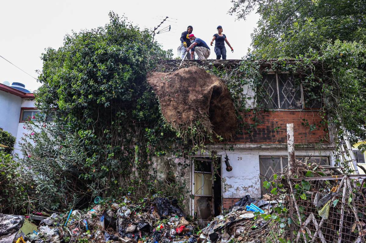 ATIENDE GOBIERNO DE TLALNEPANTLA DENUNCIAS CIUDADANAS CON LIMPIEZA Y SANEAMIENTO INTEGRAL DE INMUEBLES