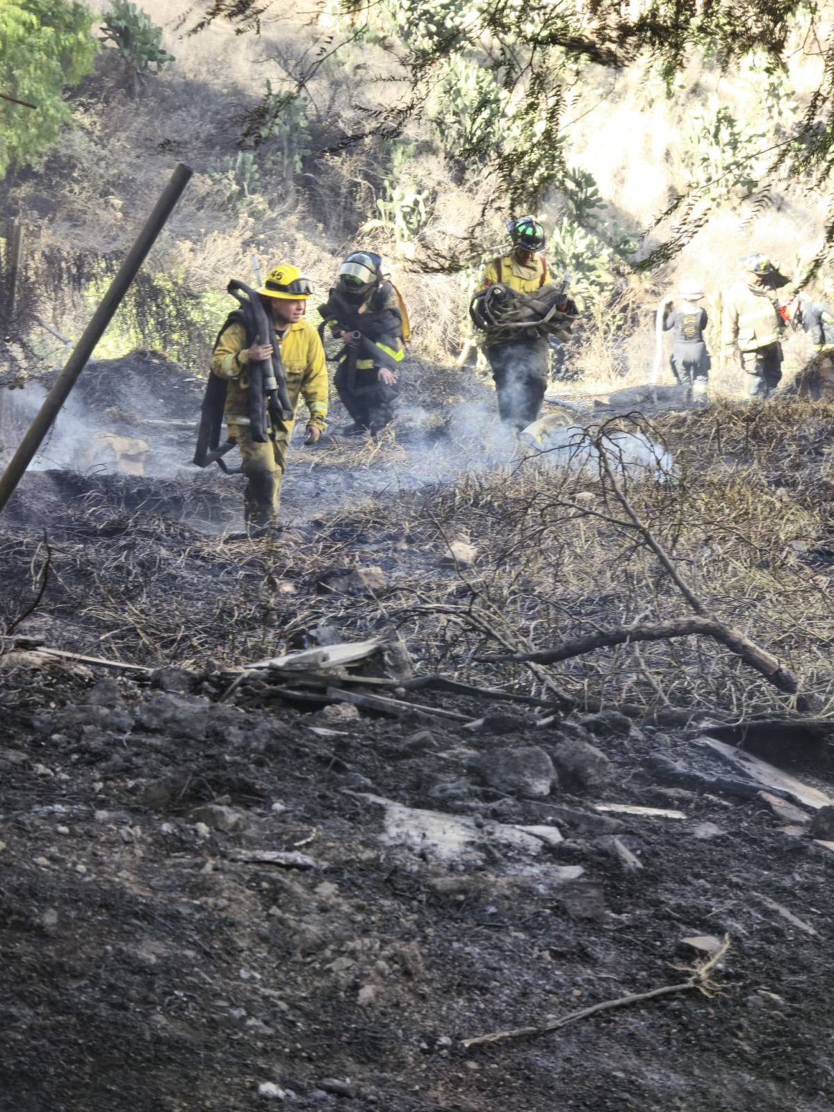 CONTROLAN BOMBEROS DE TLALNEPANTLA INCENDIO DE PASTIZAL EN LOMAS DE VALLE DORADO