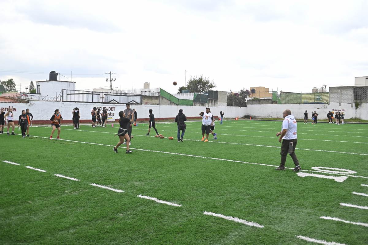 DECLARAN AL INSTITUTO MUNICIPAL DE CULTURA FÍSICA Y DEPORTE DE TLALNEPANTLA COMO ORGANISMO PÚBLICO DESCENTRALIZADO